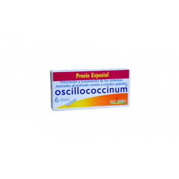 Oscillociccinium Caja x 6...